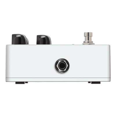 Opto Comp Analog Optical Compressor Ampeg image 10