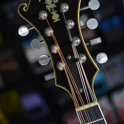 Lebeda F4 Standard Mandolin 2004 image 6