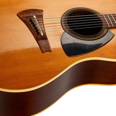 Gibson MK-35 Natural (Pre-Owned, 1977, VG) #06174984 image 5