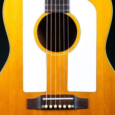 Gibson F-25 1965 image 13