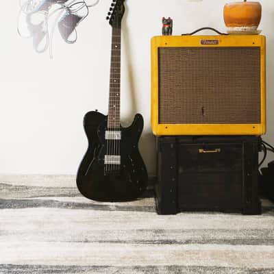2018 Fender MIJ Telecaster Thinline “BiSH” Limited Edition Black Japan Excellent Condition w/ BiSH Pick Set image 18