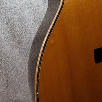 PRS SE A60E Angelus + Hard Case image 12