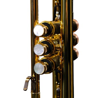 Yamaha Custom Professional Bb Trumpet - YTR-8335LAII image 5