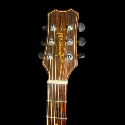 James Neligan DEV-ACFI Deveron series, Auditorium Electro Acoustic Guitar image 8