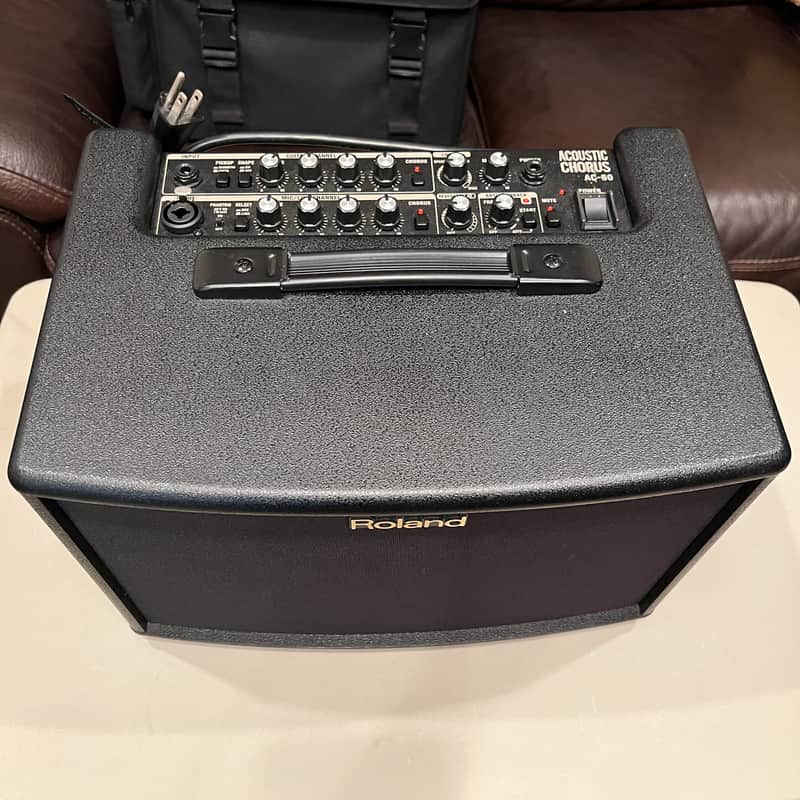 Roland AC-60 Acoustic Chorus 2-Channel 60-Watt 2x6.5" Acoustic Guitar Combo