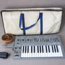 Roland SH-101 32-Key Monophonic Synthesizer 1982 - 1986 - Gray