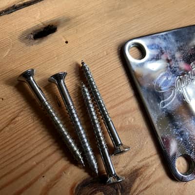 Squier by Fender Affinity Series Stratocaster Strat Guitar Neckplate + Screws 2006 image 3