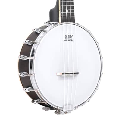 Gold Tone BUS: Soprano-Scale Banjo Ukulele with Case image 1