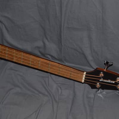 Breedlove ECO Discovery S Concert Acoustic Bass CE 2022 Edgeburst image 5