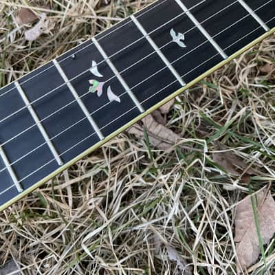 OM Professional Banjo with case and Bill Keith tuners image 9