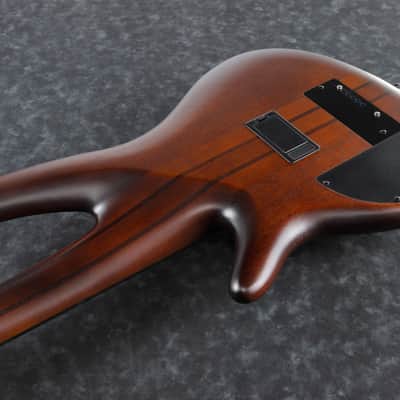 Ibanez SR Bass Workshop 5 String Electric Bass - Fretless - Brown Burst Flat (SRF705BBF) image 6
