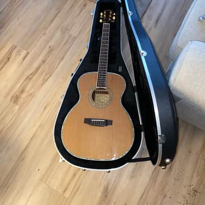 Zager ZAD800M/N 6 String guitar comes with extras see all pics image 1
