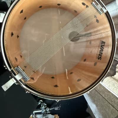 Ludwig Coliseum 14” x 8” Maple Snare Drum 1991 - Black image 16
