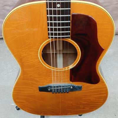 Gibson B-25 1966 - Natural image 14