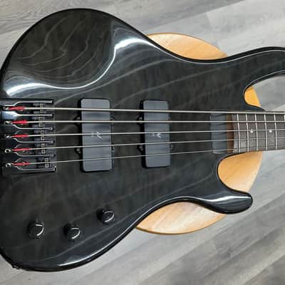 Washburn XB-125 Bantam Series 2002-2004 - Transparent black image 8