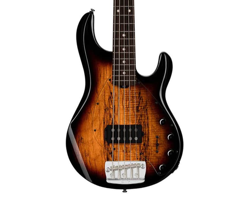 Sterling by Music Man StingRay 5 RAY35 Spalted Maple - 3-Tone Sunburst image 1