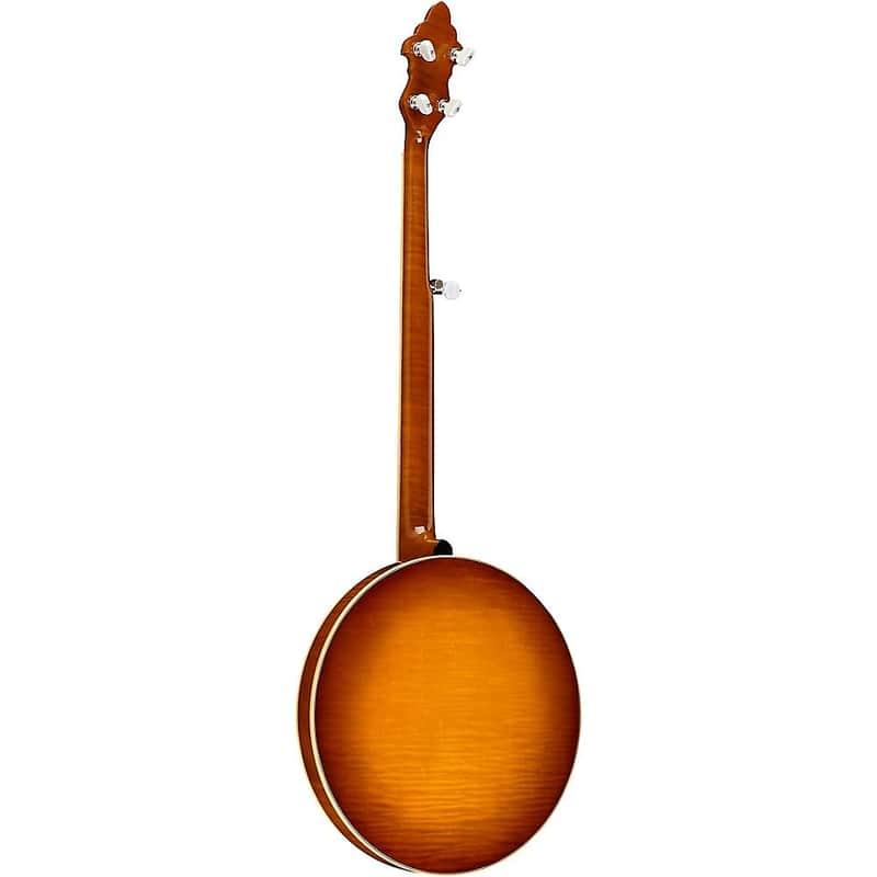 Recording King RK-M5 USA Series Resonator Banjo image 5