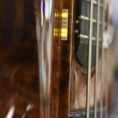 David King Bass 4 - String D bass 2004? PPG DCU-2002 image 8