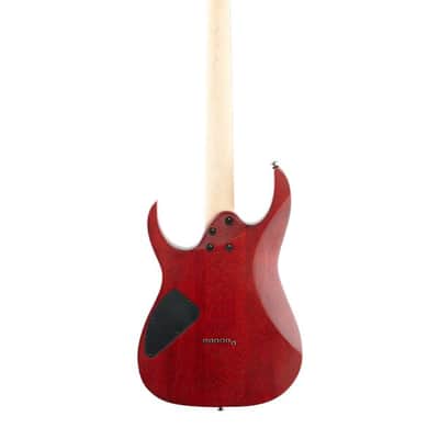 Ibanez RG421PB Electric Guitar Caribbean Shoreline Flat image 5
