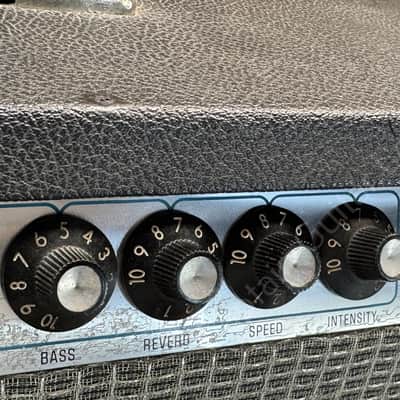1978 Fender - Twin Reverb - ID 5319 image 10