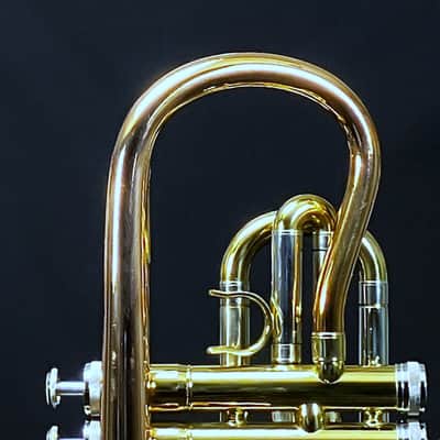 SCHILLER Shepards Crook Pro Elite Cornet in Brushed Rose 2019 image 11