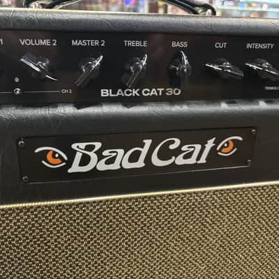 2026 Bad Cat 30 Mod Shop Edition 1x12 Combo w/cover image 4