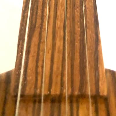4 string Turtle shell slide guitar image 8