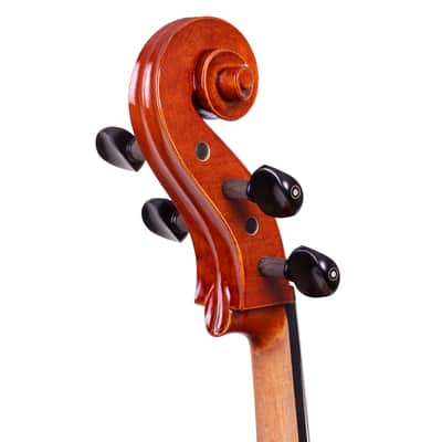 Goffriller Cello 4/4 from One Piece Back - Hand-Made in Romania 2025 #99 image 12