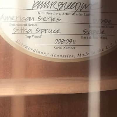 Breedlove American series DSSe 2007/08 - Natural imagen 5