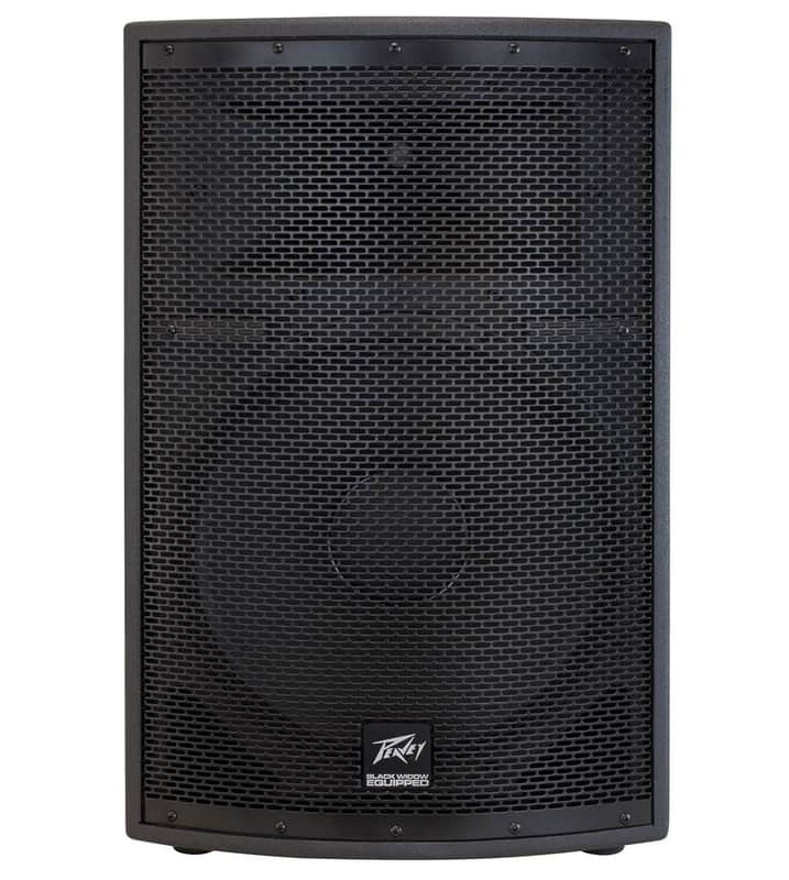 Peavey SP 2 1000-Watt 2-Way PA Speaker image 1