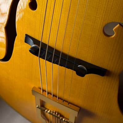 Bozo Podunavac 17" Acoustic Archtop with Calton Case image 7