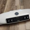 Moog Theremini Theremin