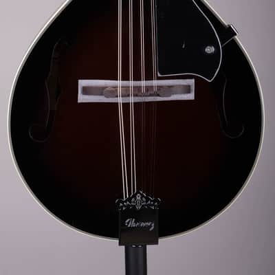 Ibanez M510 A Style Acoustic Mandolin Dark Violin Sunburst High Gloss image 1