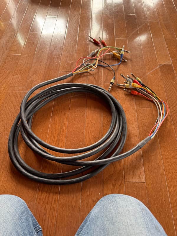 Hosa CPP804 8 1/4" TS Patch Snake - 4 Meter(13 ft) 2000s - Standard image 1