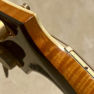 D'Angelico New Yorker Excel Owned by Brian Setzer image 23
