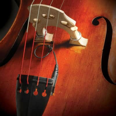 David Gage Realist RLSTSWB1 Acoustic Bass Pickup & Wood Element image 2