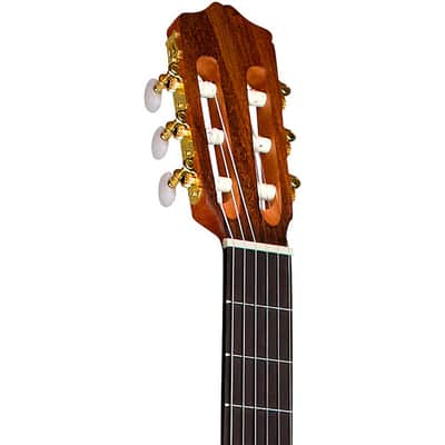 Cordoba C1M-CE Protege Cutaway Nylon-String Acoustic-Electric Classical Guitar Natural image 5