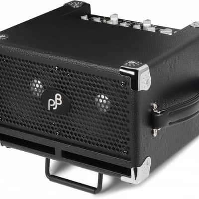 Phil Jones Bass BG-120 Bass Cub Pro Combo Amplifier (120 Watts, 2x5"), Black image 6