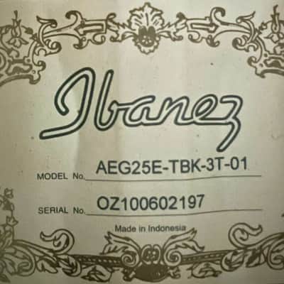 Ibanez AEG Series AEG25E Acoustic Electric Guitar - Includes gig bag, strap with locks and new pick. image 7