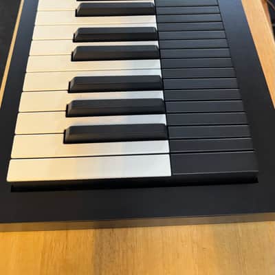Expressive E Osmose 49-Key 24-Voice Polyphonic Synthesizer 2022 - Present - Black image 2