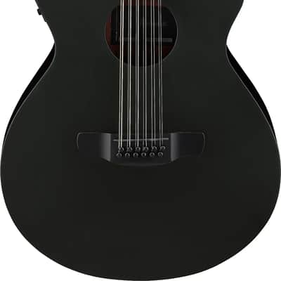 Ibanez AEW23ZW Exotic Wood Spruce/Zebrawood Acoustic-Electric