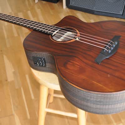LAG Sauvage BCE / Jumbo Cutaway Electro / Acoustic-Electric 4-String Bass / Green Guitars Series / 2309LT23160 image 5