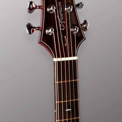 CP Thornton Guitars Professional - Darkburst w/ 5A Flame Maple Top. NEW (Authorized Dealer) image 12
