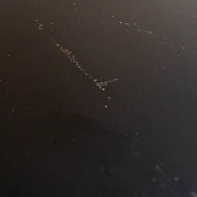 MartinLogan Dynamo 1500X Powered Subwoofer Speaker image 4