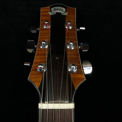 Holst Jazz Hand built archtop electric guitar tobacco burst image 5