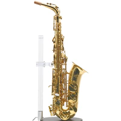Giardinelli by Eastman GAS10 Alto Saxophone in Gold Lacquer SN 11533980 image 1