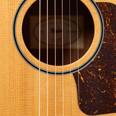 Taylor BBTe Big Baby Taylor Acoustic/Electric Guitar with Gig Bag image 9