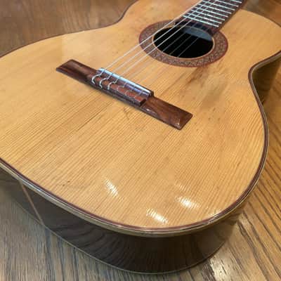 1978 Giannini AWN-21 - Natural Brazilian Rosewood/Jacaranda image 3