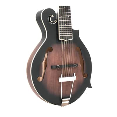 Gold Tone F-12: 12-string F-style Mando-Guitar with Pickup and Case image 2