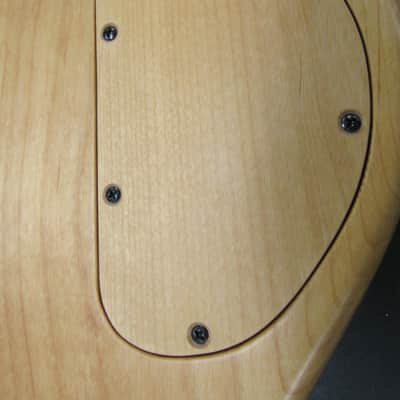 Rybski Custom Single Cut 4 String Bass Guitar with Gig Bag image 10